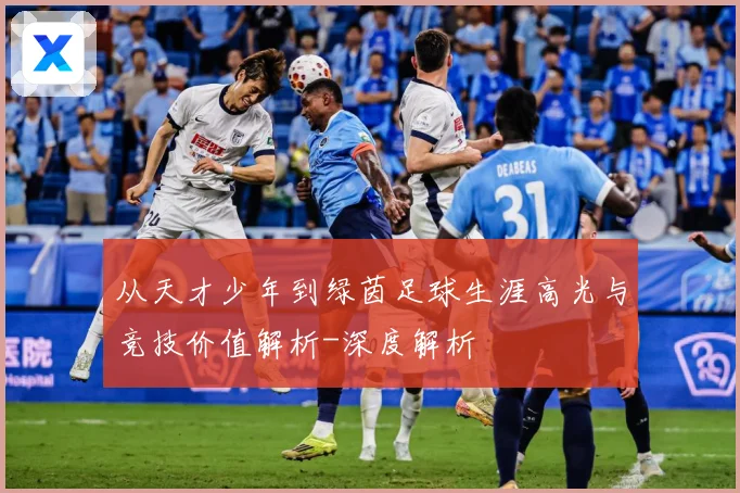 从天才少年到绿茵足球生涯高光与竞技价值解析-深度解析
