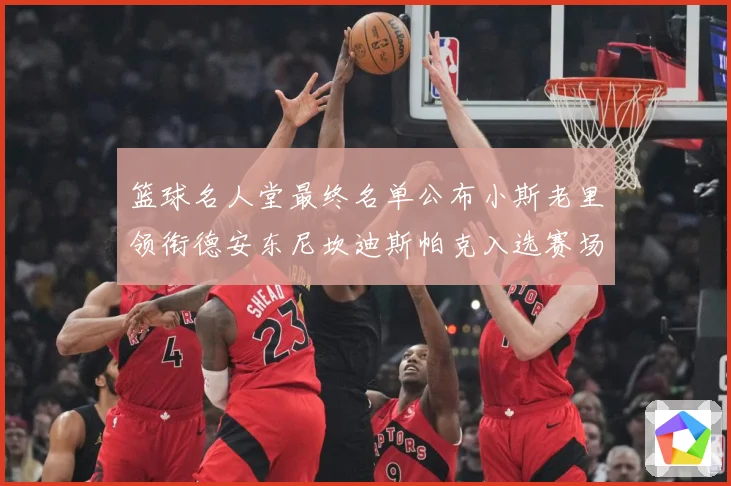 篮球名人堂最终名单公布小斯老里领衔德安东尼坎迪斯帕克入选赛场复盘-深度解析